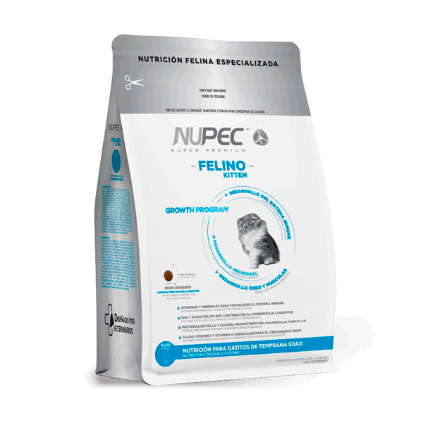 Nupec Kitten