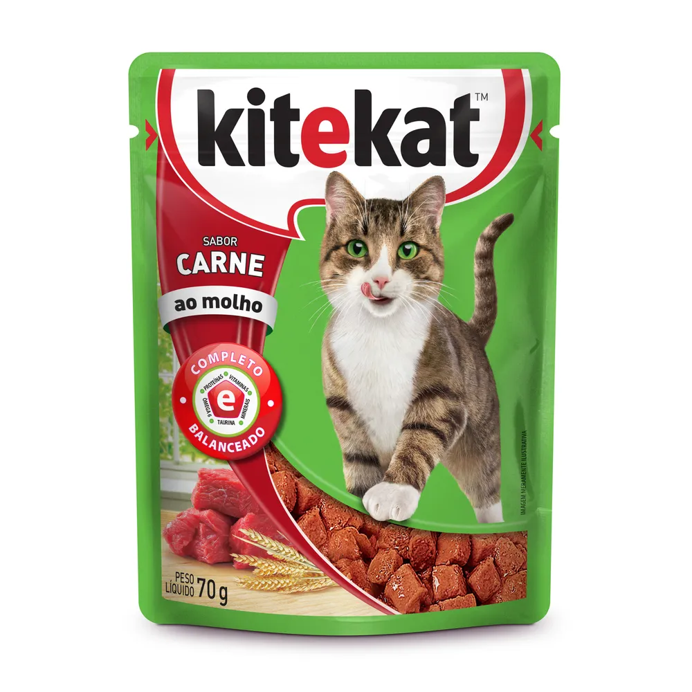 KiteKat Adulto Carne